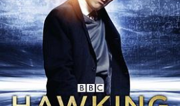 无马视频,揭秘马术运动的魅力与挑战